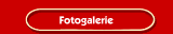 Fotogalerie